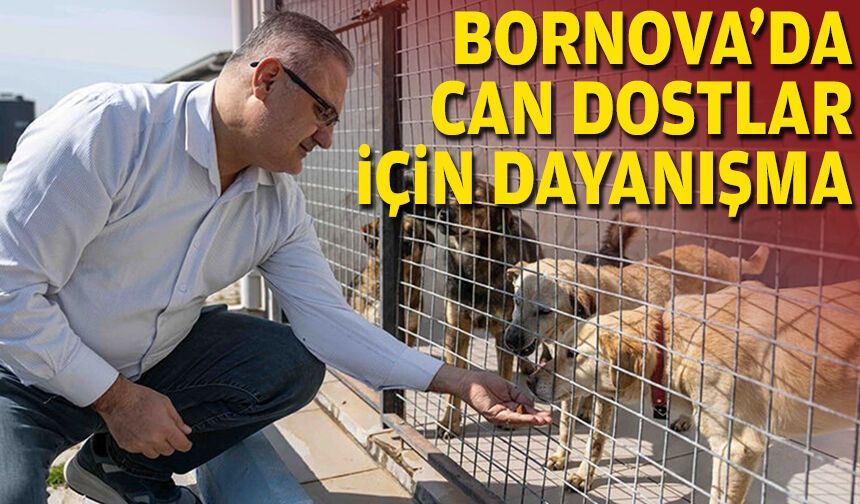 Bornova’da can dostlar için dayanışma
