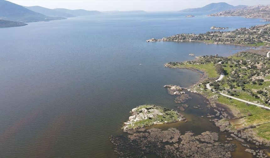 Yağışlar Bafa Gölü'ndeki balıklara can suyu oldu