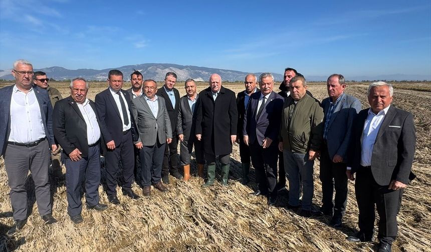 Aydın'da tarım arazilerini sel vurdu... Genel Başkan yerinde inceledi