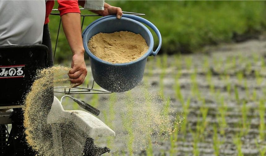 Savaşın gölgesi tarlada: “Yüzde 95 dışa bağımlıyız”