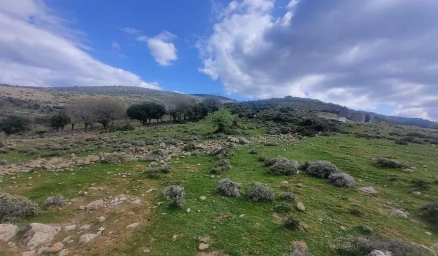 14 muhtar ve köylüler itiraz etmişti... Son söz bakanlıkta!