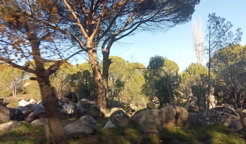 Kozak'a dinamit girişimi!