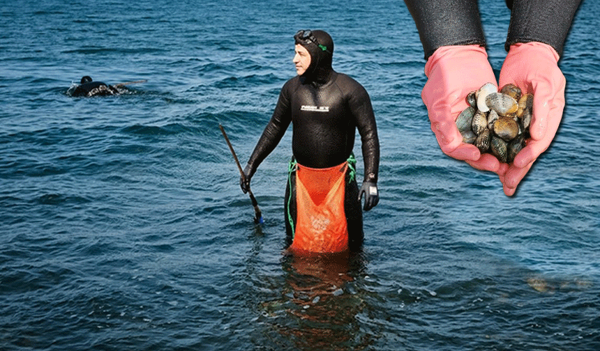 Denizde ekmek kavgası!