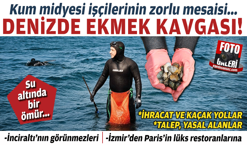 Denizde ekmek kavgası!