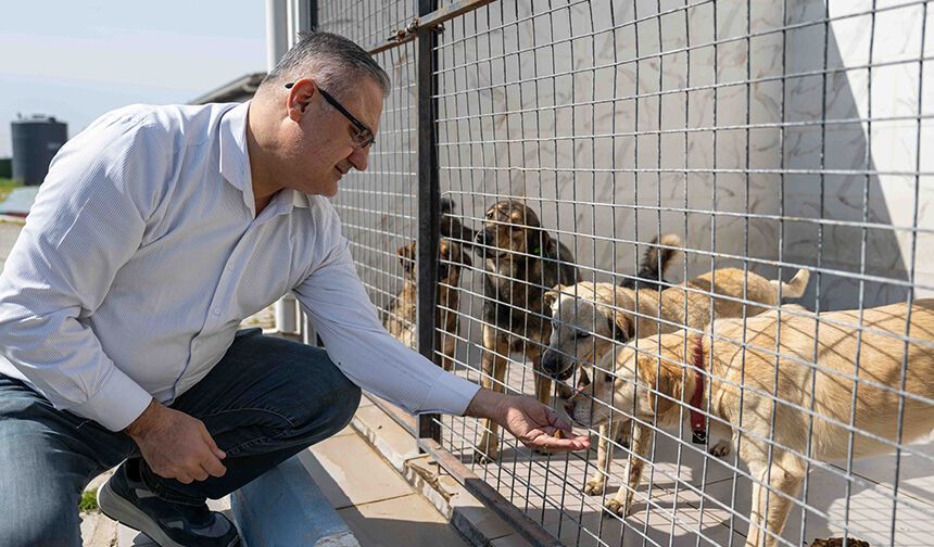 Bornova’da can dostlar için dayanışma