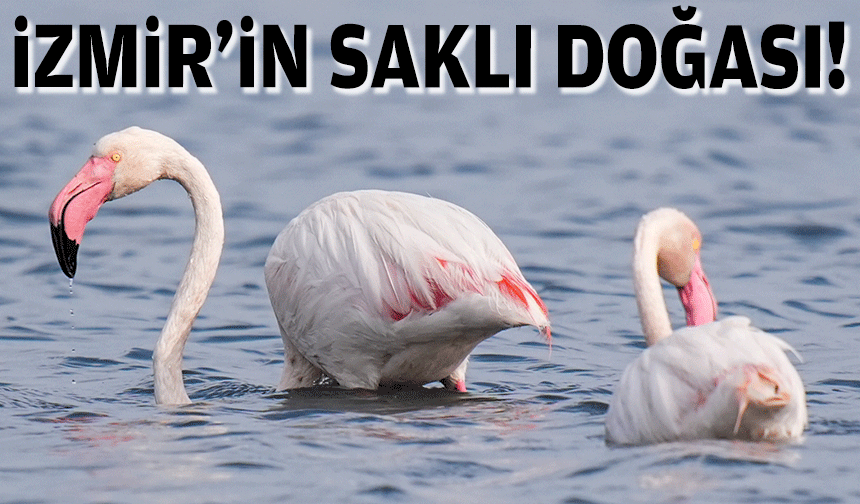 İzmir'in saklı doğası!