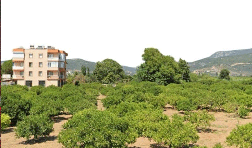 Tarım arazisini imara açan plana yargı freni!