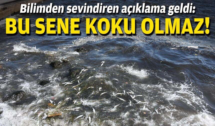 Bilimden sevindiren açıklama geldi: Bu sene koku olmaz!