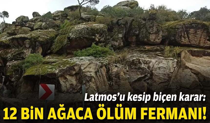 Latmos’u kesip biçen karar: 12 bin ağaca ölüm fermanı!