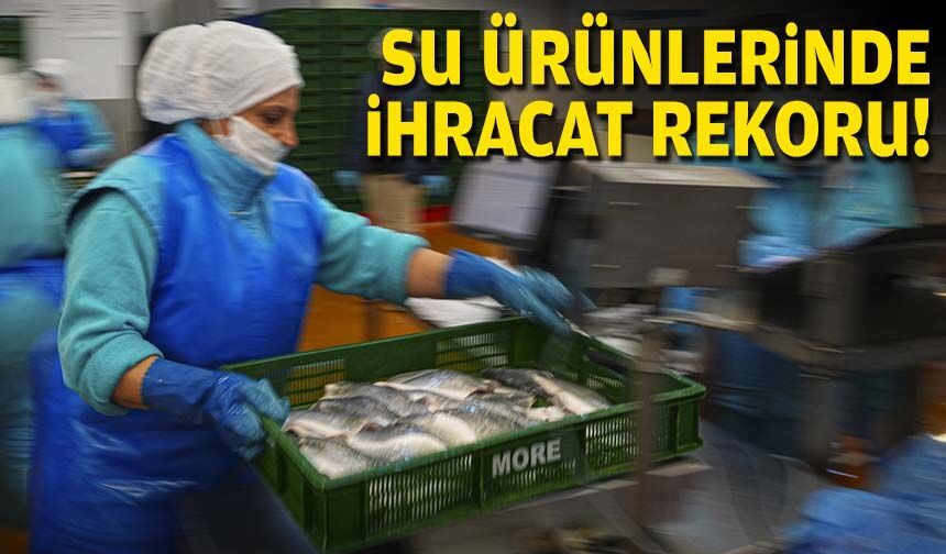 Su ürünlerinde ihracat rekoru!