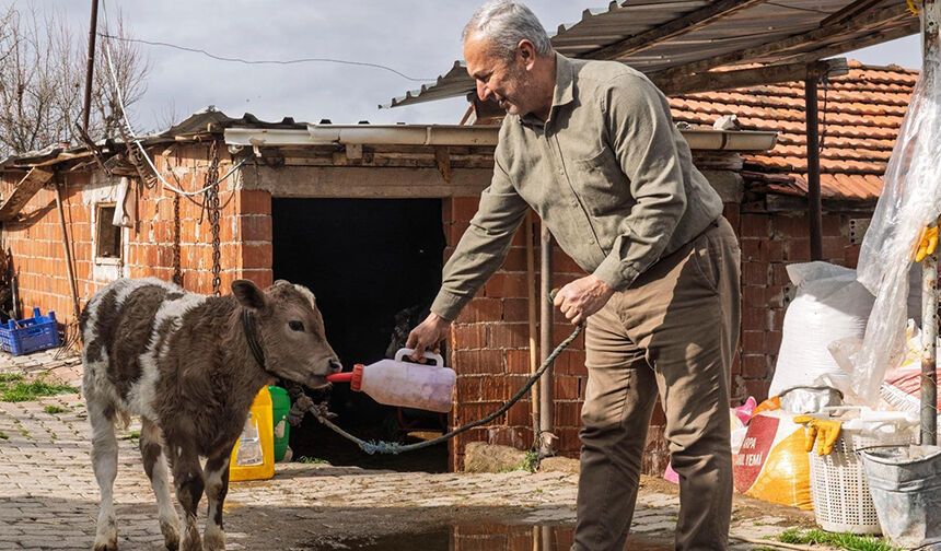 Büyükşehir'den köylüye 1,4 milyarlık can suyu