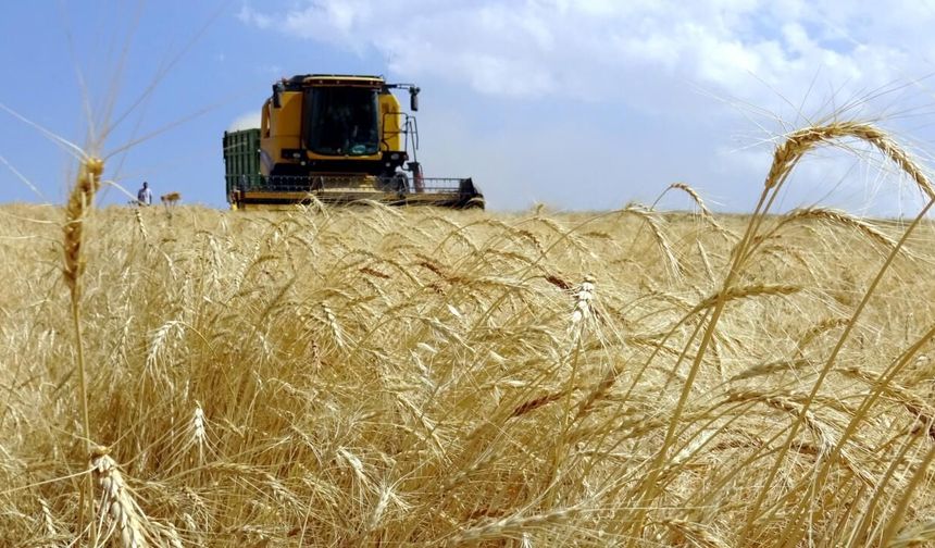 Çiftçilere tarımsal destekleme ödemesi yarın yapılacak