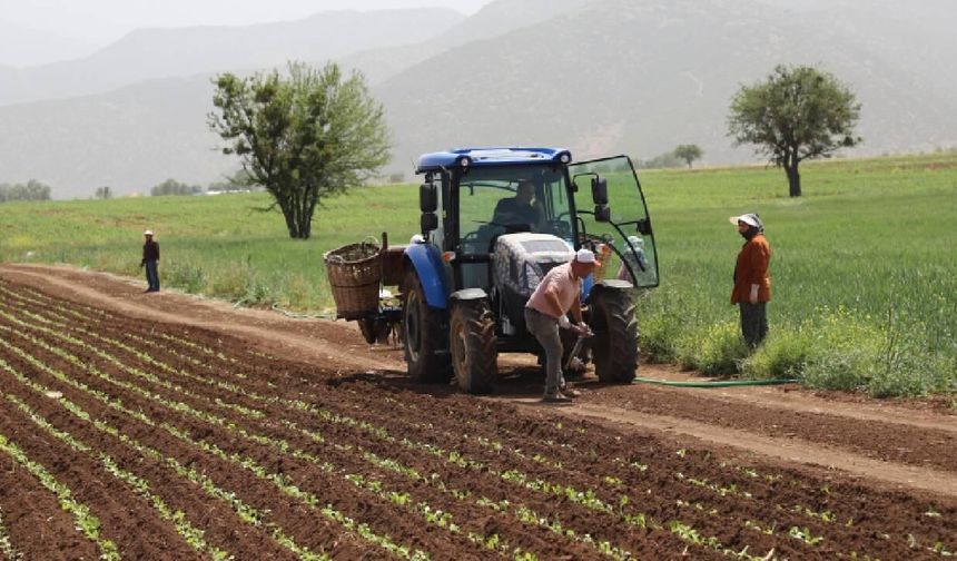 Bakanlık'tan 'savaş' kararı: Vergi sıfıra indi!