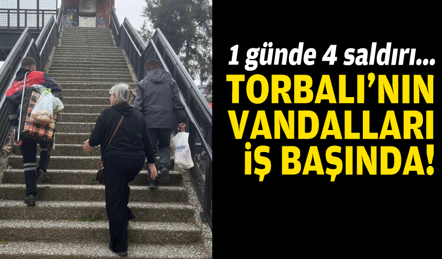 Torbalı'nın vandalları iş başında... 1 günde 4 saldırı!