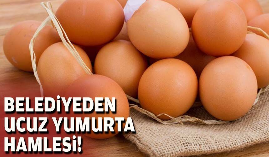 Belediyeden ucuz yumurta hamlesi!