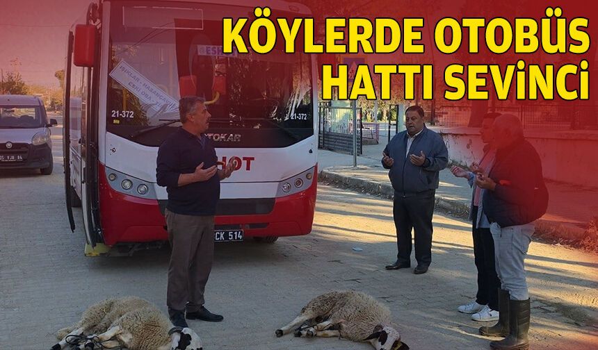 Yeni otobüs hatları için kutlama: Köylüler kurban kesti