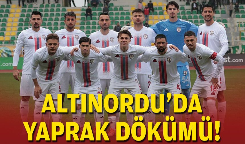 Altınordu'da yaprak dökümü!