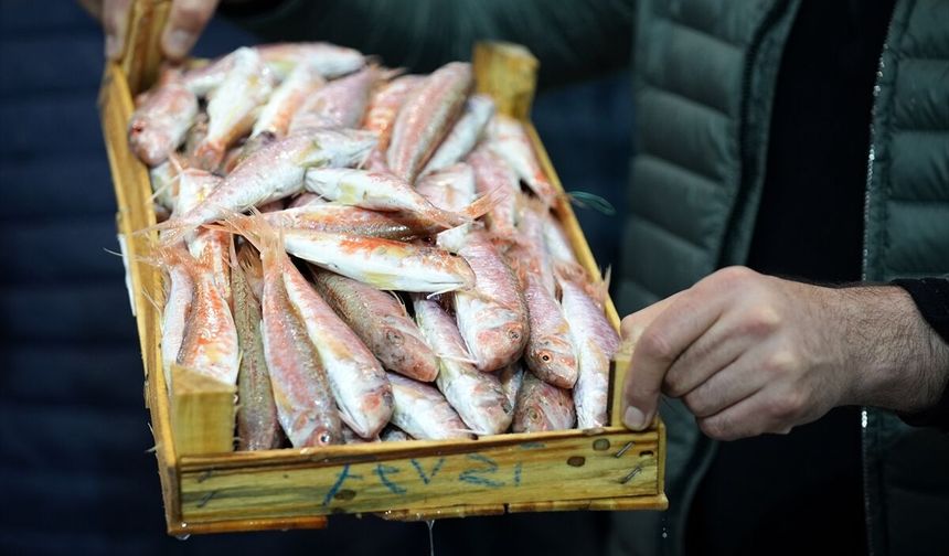Egeli balıkçılar av sezonunu "mutlu" uğurluyor