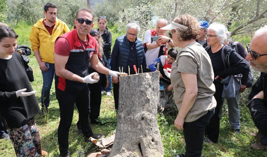 Seferihisar Belediyesi ve İlçe Tarım’dan Müdürlüğü'nden uygulamalı eğitim