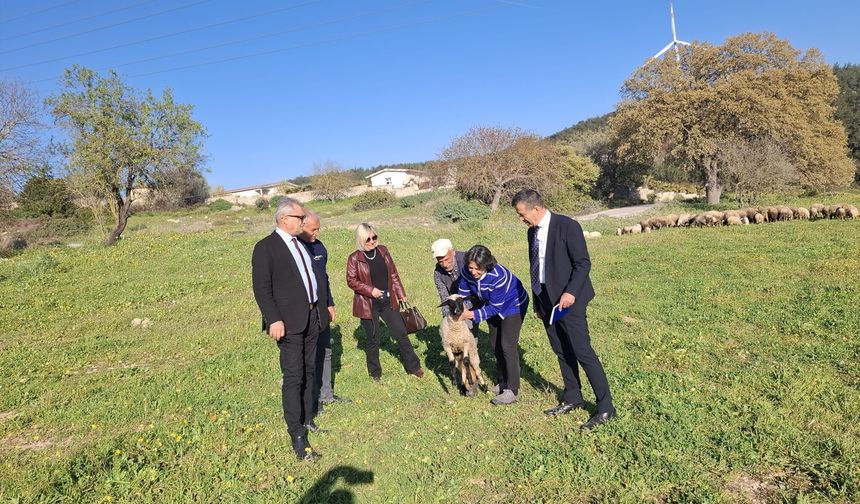 Urla'da imar tartışması... “Mücevher kralı”na açık mesaj!