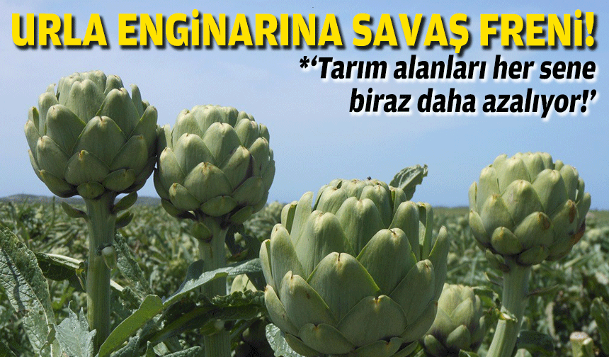 Urla enginarına savaş freni!