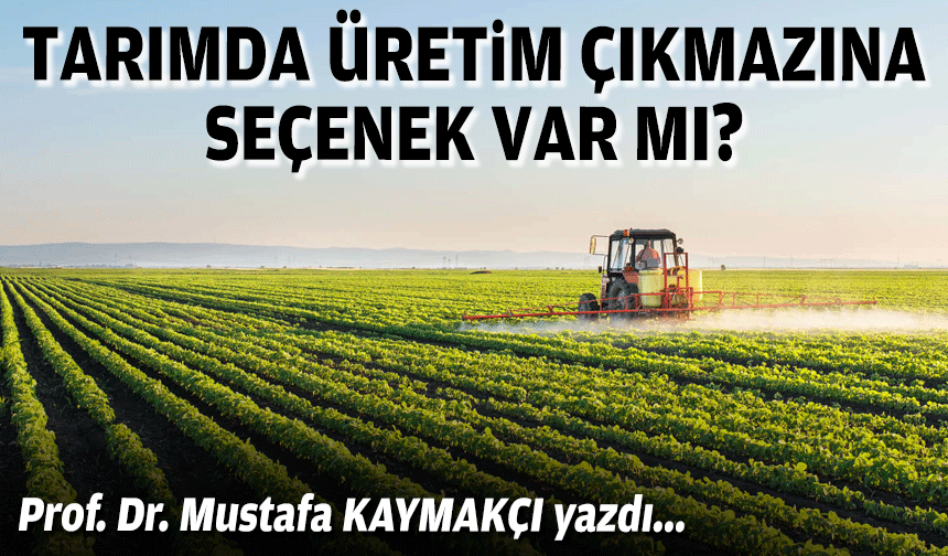 Tarımda üretim çıkmazına seçenek var mı?