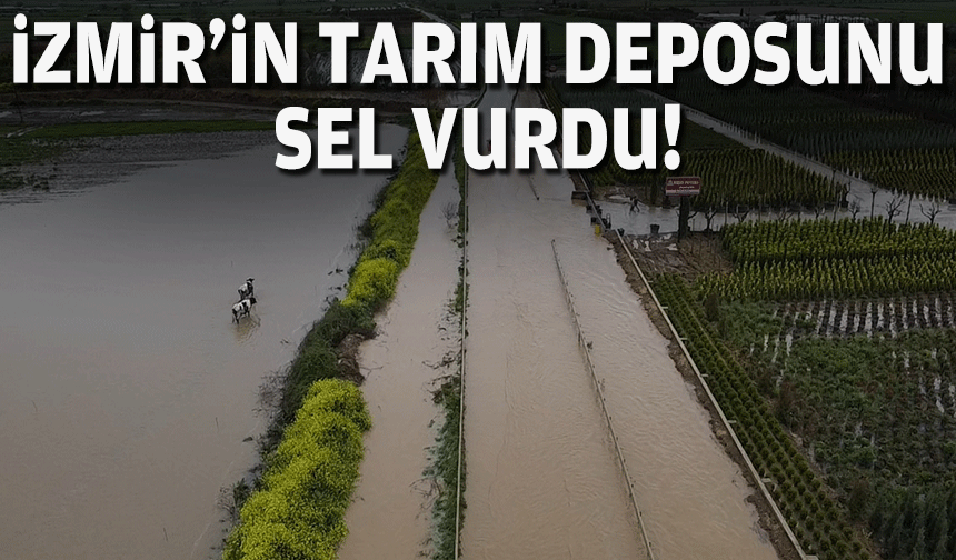 İzmir'in tarım deposunu sel vurdu!