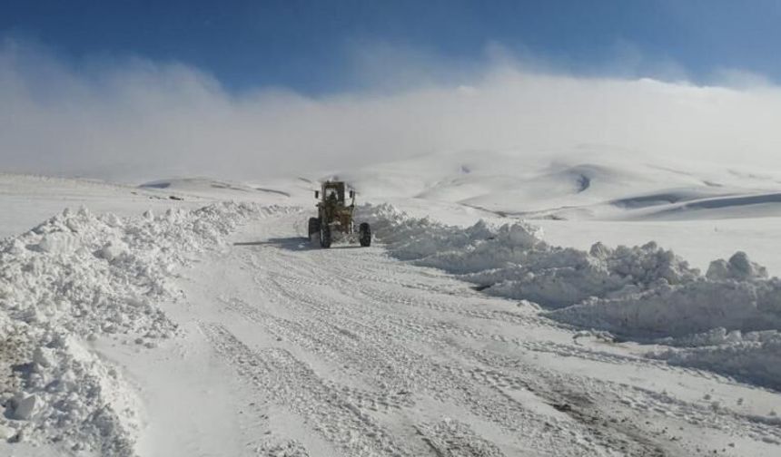 Doğuda "kış" sürüyor: 317 yol ulaşıma kapandı