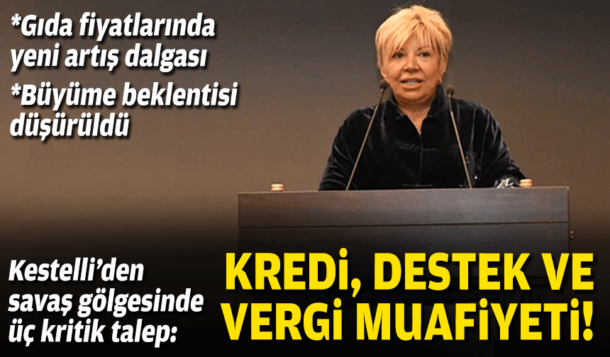 Kestelli’den savaş gölgesinde üç kritik talep: Kredi, destek, vergi muafiyeti