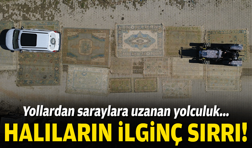 Halıların ilginç sırrı: Yollardan saraylara uzanan yolculuk!