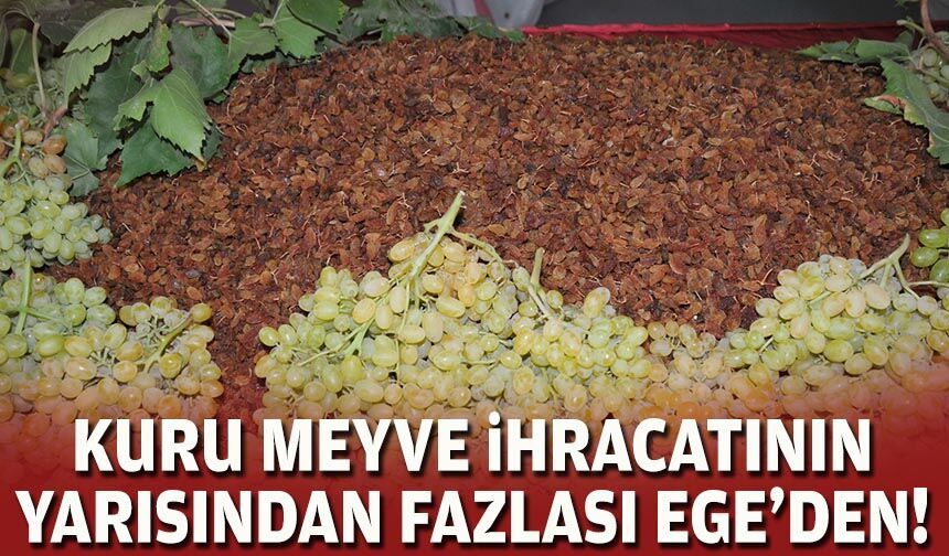 Kuru meyve ihracatının yarısından fazlası Ege'den!