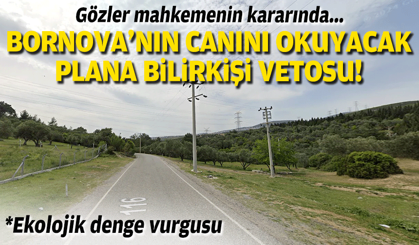 Bornova'nın canına okuyacak plana bilirkişi vetosu... Gözler mahkeme kararında!