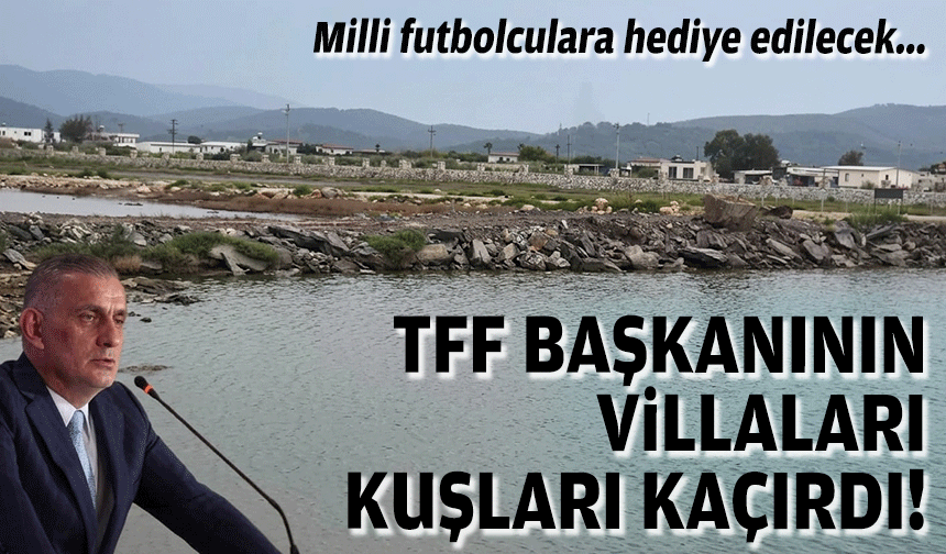 Milli futbolculara hediye edilecek... TFF başkanının villaları kuşları kaçırdı