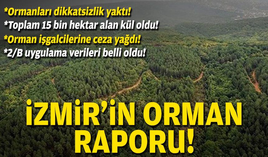 İzmir’in orman raporu!