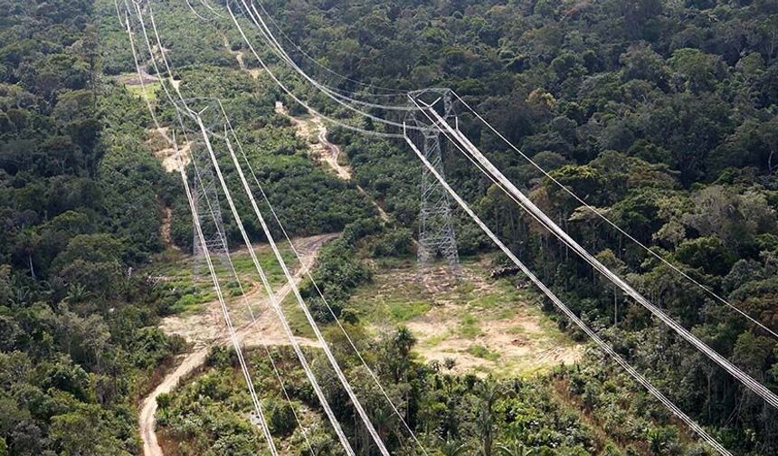 GDZ Elektrik’ten orman yangını önlemleri: "Hayati koridor"da temizlik tamam!