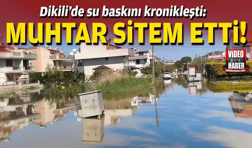 Dikili’de su baskını kronikleşti: Muhtar sitem etti!