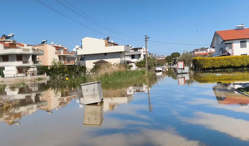 Dikili’de su baskını kronikleşti: Muhtar sitem etti!