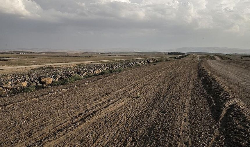 Ziraat Odası Başkanı’ndan ‘boş arazi’ sitemi: Kamu arazileri de boş kalmasın!