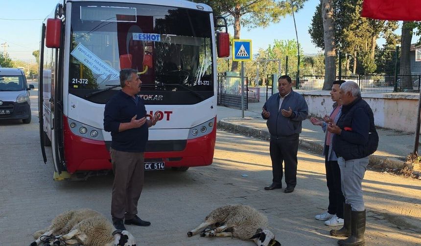 Yeni otobüs hatları için kutlama: Köylüler kurban kesti