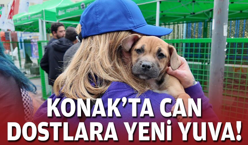 Konak'ta can dostlara yeni yuva!