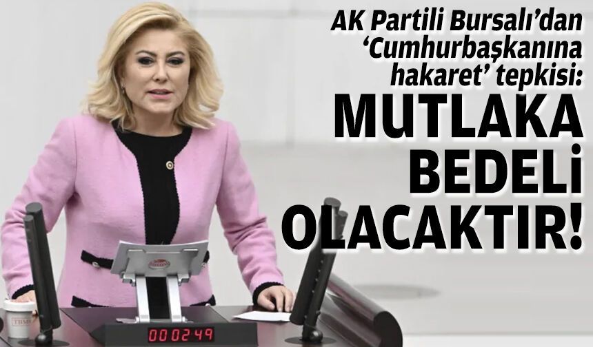 AK Partili Bursalı’dan ‘Cumhurbaşkanına hakaret’ tepkisi: Mutlaka bedeli olacaktır!