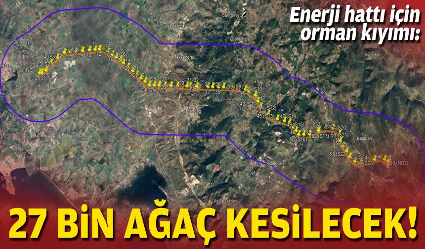 Enerji hattı için orman kıyımı: 27 bin ağaç kesilecek!