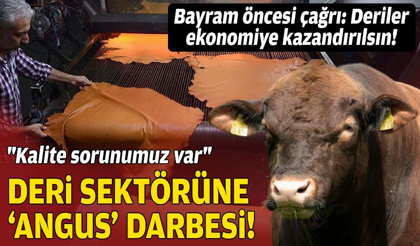 Deri sektörüne "Angus" darbesi: "Kalite sorunumuz var"