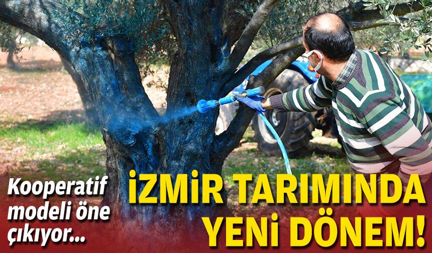 İzmir tarımında yeni dönem: Kooperatif modeli öne çıkıyor