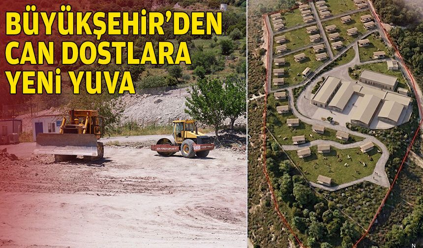 Dikili’ye tam teşekküllü sokak hayvanları kampüsü yolda