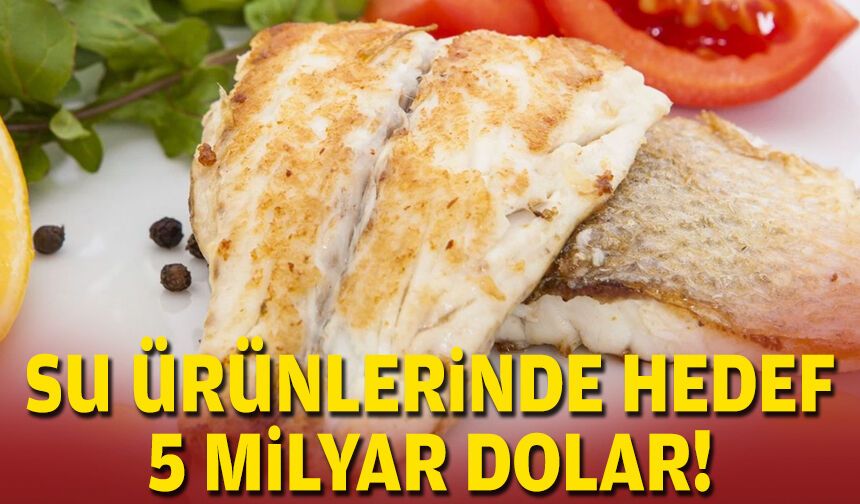Su ürünlerinde hedef 5 milyar dolar!