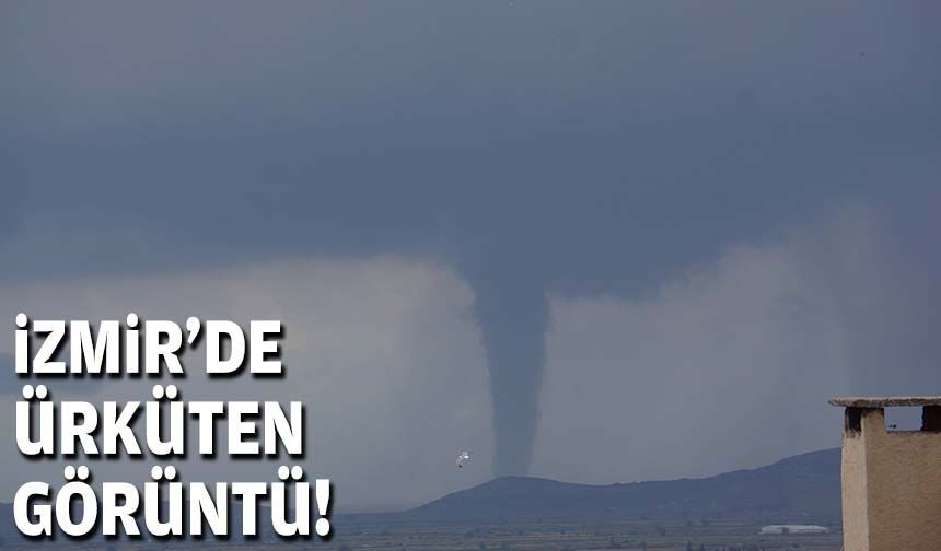 İzmir'de ürküten görüntü!