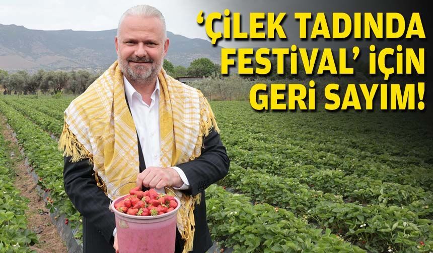 'Çilek tadında festival' için geri sayım!