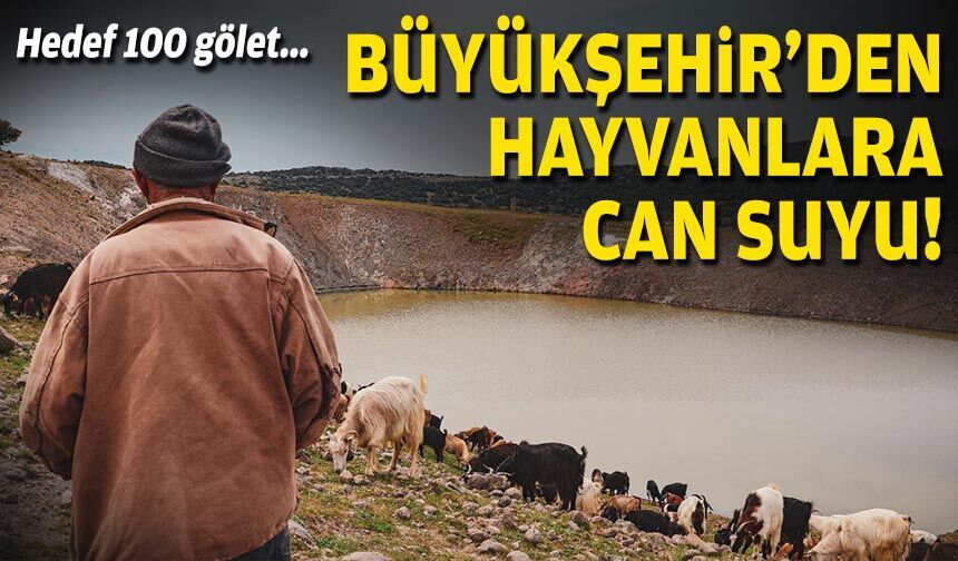 Hedef 100 gölet... Büyükşehir'den hayvanlara can suyu!