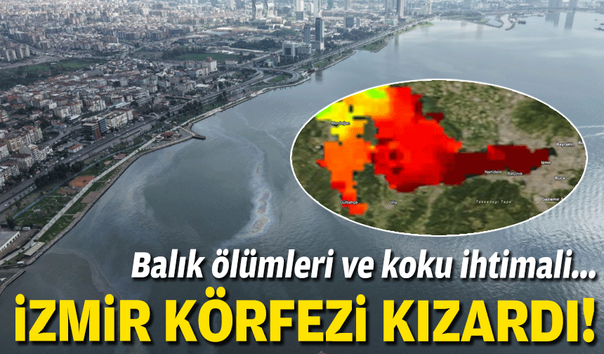 İzmir Körfezi kızardı: Yaz gelmeden yük bindi!